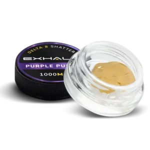 Buy Purple Punch Delta-8 THC shatter